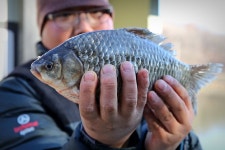 상곡낚시터 유료낚시터 > 1인용 좌대를 소개합니다. : 낚시사랑