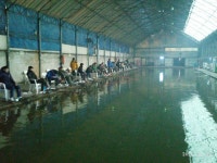 수목원장어낚시터 유료낚시터 > 포천 수목원장어낚시터 미친방류 1월 30일 조황 : 낚시사랑