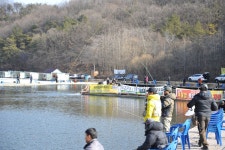 용인지곡낚시공원 > 설 연휴에 삼배체 송어 방류합니다 : 낚시사랑