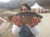 돌성저수지 유료낚시터 > 돌성낚시터 붕어 개장 : 낚시사랑