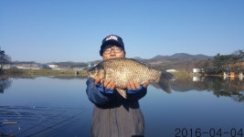 조일낚시터 유료낚시터 > [조일낚시터] 조황소식~ : 낚시사랑