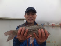 내동지 유료낚시터 > 4짜 100번째 조사님을 찾습니다. : 낚시사랑