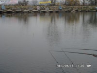 김포낚시터 유료낚시터 > 리빙티비 형제꽝조사 촬영~~~ : 낚시사랑