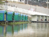 용인마성낚시터 유료낚시터 > ****최고의 손맛터 마성낚시터 4월풍경**** : 낚시사랑