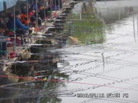 도곡낚시터 유료낚시터 > 도곡낚시터 붕어 조황 정보 : 낚시사랑