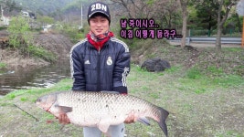 남창낚시터 유료낚시터 > 드디어 빅피쉬, 몬스터 피쉬가 나타났습니다 : 낚시사랑