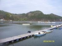 삼인낚시터 유료낚시터 > 삼인 낚시터 소식!! : 낚시사랑