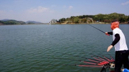 용설낚시터 유료낚시터 > 터가 쌘 용설지 : 낚시사랑