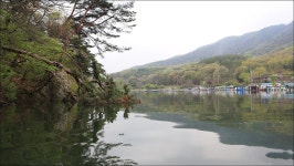 유정낚시터 유료낚시터 > 내일 정식개장합니다.(바베큐 파티+1톤방류!!!) : 낚시사랑