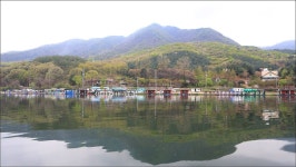 유정낚시터 유료낚시터 > 내일 정식개장합니다.(바베큐 파티+1톤방류!!!) : 낚시사랑