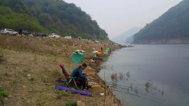 추곡낚시터 유료낚시터 > 봄부터 붕어들이 나오는 소양호 추곡낚시터 : 낚시사랑