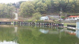 공주 큰목골낚시터 유료낚시터 > 공주 큰목골낚시터 4월24일 소식 : 낚시사랑
