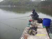 삼인낚시터 유료낚시터 > 삼인낚시터 소식!! : 낚시사랑