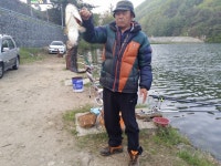 명암낚시터 유료낚시터 > 연휴기간 힐링하러오세요. : 낚시사랑