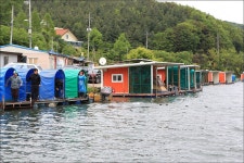 유정낚시터 유료낚시터 > 배수기철 붕어대낚,송어대낚~~ : 낚시사랑