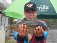 버들못 유료낚시터 > 지금도 만수 입니다. : 낚시사랑