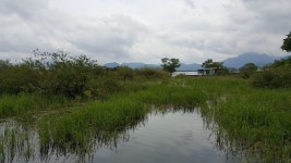 원일낚시터 유료낚시터 > 원일낚시터 조황입니다 : 낚시사랑