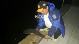 남창낚시터 유료낚시터 > 그려 이정도는 돼야지... 잉어,향어,메기 방류영상과 조황 : 낚시사랑