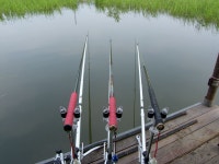 원일낚시터 유료낚시터 > 원일낚시터 조황정보입니다 : 낚시사랑