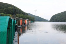 유정낚시터 유료낚시터 > 오름수위에 4짜에 조황도 좋아요~~~^^ : 낚시사랑