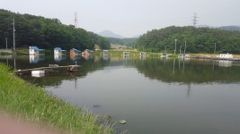 요덕골 유료낚시터 > 하나둘셋 찌올림의 신들린 입질.. : 낚시사랑