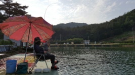 덕봉낚시터 유료낚시터 > 6월 첫 주 덕봉낚시터 : 낚시사랑
