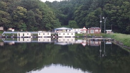 요덕골 유료낚시터 > 불볏더위에도 잘나옵니다 한낮에도 잘나와요.. : 낚시사랑