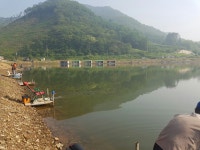 봉낚시터 유료낚시터 > 6월 5일 봉 낚시터 조황 정보 입니다^^ : 낚시사랑