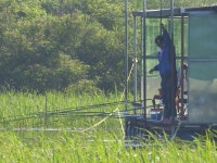 원일낚시터 유료낚시터 > 원일낚시터 조황입니다 : 낚시사랑