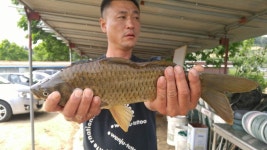 서곡 유료낚시터 > 4짜가 종종 나와요~! : 낚시사랑