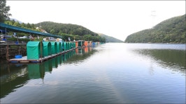 유정낚시터 유료낚시터 > 단찌 챙겨오세요~~~ : 낚시사랑