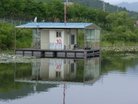 원일낚시터 유료낚시터 > 봄낚시 끝 여름낚시 시작 : 낚시사랑