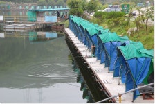 상덕낚시터 유료낚시터 > 6월2주차 이야기 - 용인 상덕 : 낚시사랑