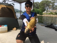 양오낚시터 유료낚시터 > 안녕하세요 인천 강화 토종대물터 양오낚시터 (당산지) 조황입니다. : 낚시사랑