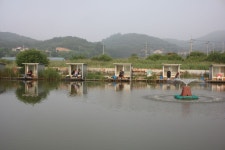 내동지 유료낚시터 > 4짜 400번째 조사님을 찾습니다. : 낚시사랑