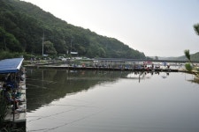 용인지곡낚시공원 유료낚시터 > ◐ 죄송하고 송구스럽습니다 ◐ : 낚시사랑