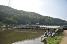 용인지곡낚시공원 유료낚시터 > ◐ 죄송하고 송구스럽습니다 ◐ : 낚시사랑