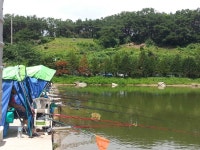 우금낚시공원 유료낚시터 > 우금낚시공원 주말스케치 : 낚시사랑