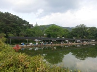 우금낚시공원 유료낚시터 > 우금낚시공원 주말스케치 : 낚시사랑