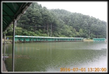 양평대명낚시터 유료낚시터 > ♣♣♣♣♣ 2016년 상반기를 보내며~ 붕어도 살짝 퐁당~!!! ♣♣♣♣♣ : 낚시사랑