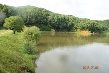 용담낚시터 유료낚시터 > 포천용담토종붕어터 : 낚시사랑