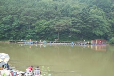 추곡대물터 유료낚시터 > 대물터의 명성과 자부심에 빛나는 추곡낚시터 : 낚시사랑