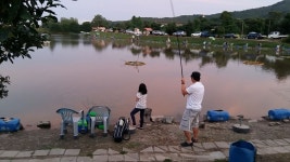 길상낚시터 유료낚시터 > 7월첫째주말 길상낚시터 모습입니다~ : 낚시사랑