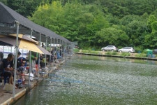 용인지곡낚시공원 유료낚시터 > ◐ 지곡지의 유래 ◐ : 낚시사랑