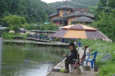 용인지곡낚시공원 유료낚시터 > ◐ 지곡지의 유래 ◐ : 낚시사랑