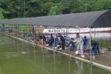 용인지곡낚시공원 유료낚시터 > ◐ 지곡지의 유래 ◐ : 낚시사랑