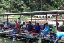 용인지곡낚시공원 유료낚시터 > ◐ 인간말종이 여기에 ◐ : 낚시사랑