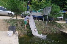 용인지곡낚시공원 유료낚시터 > ◐ 인간말종이 여기에 ◐ : 낚시사랑
