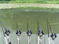 소문난 유료낚시터 > 고기도 잘나오고, 포인트도좋고, 시설도 편안하고... : 낚시사랑