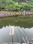 강촌낚시터 유료낚시터 > 토종붕어 강촌낚시터입니다. : 낚시사랑